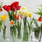 Shop Spring Vase