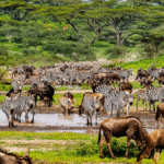 Great Migration